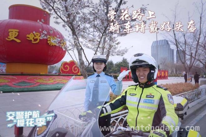 潍坊樱花季：人民广场赏樱攻略来袭！，去潍坊人民广场赏樱，这份停车与出行指南不可错过！