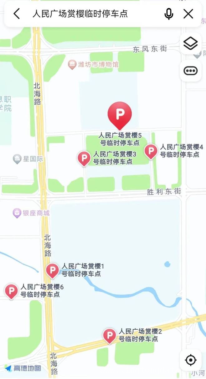 潍坊樱花季：人民广场赏樱攻略来袭！，去潍坊人民广场赏樱，这份停车与出行指南不可错过！