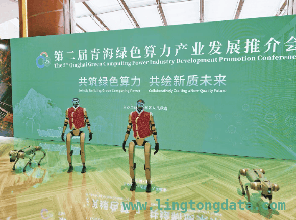 第二届绿色算力产业发展推介会：青海在京释放绿色算力新魅力