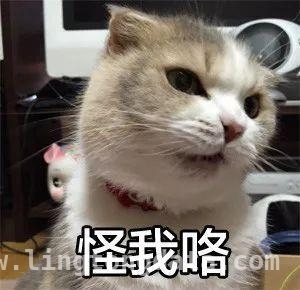 “纸片楼”不算啥，徐汇这条10厘米人行道才是绝！