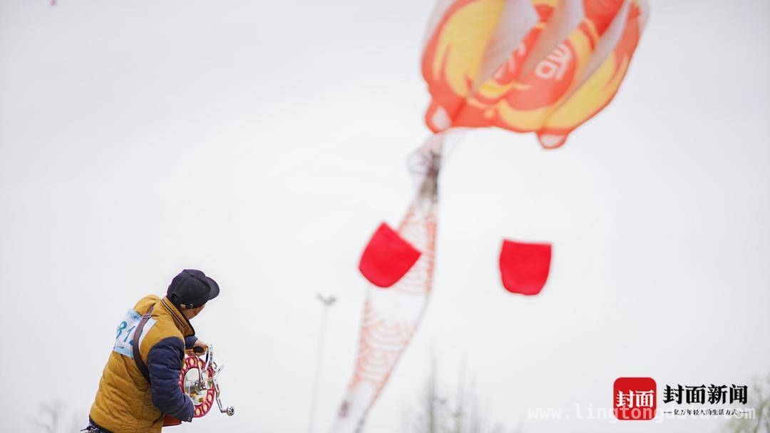 三月仙海，全国风筝赛奏响春日华章 全国青少年风筝赛启幕，绵阳仙海成春日焦点