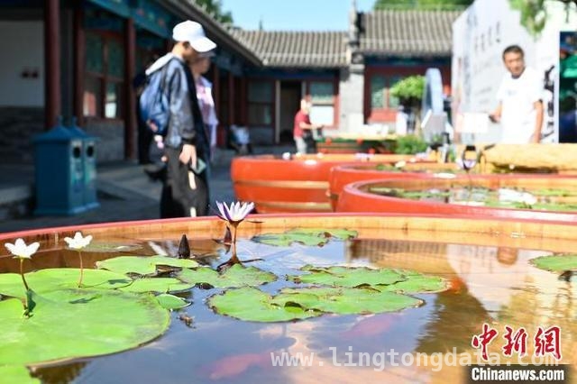 海外视角下，恭王府博物馆的“中式生活美学”之旅，恭王府：以独特方式向海外阐释“中式生活美学”