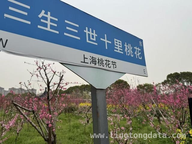2025上海桃花节：文旅融合，开启春日消费盛宴
