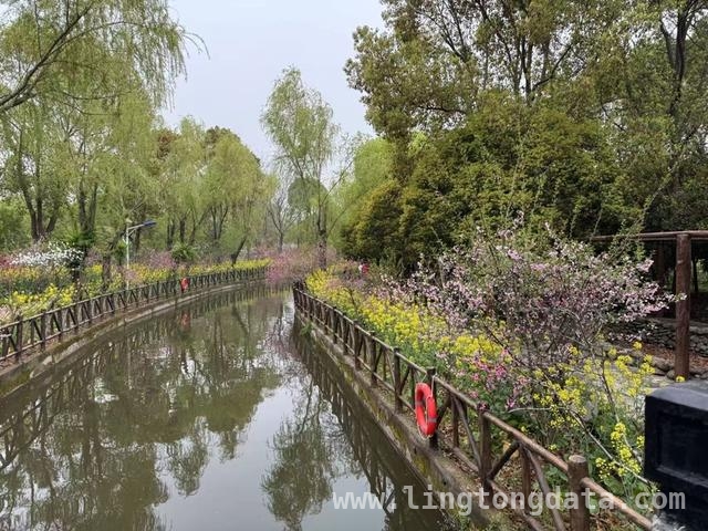 2025上海桃花节：文旅融合，开启春日消费盛宴