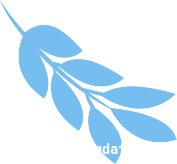 民俗之花，绽放在乡村振兴的道路上，民俗文化：乡村振兴的璀璨之光
