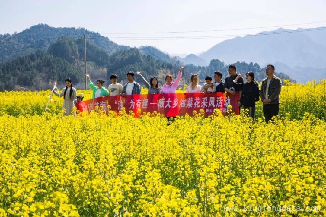 市乡人大代表发力，昄大乡旅游发展前景可期