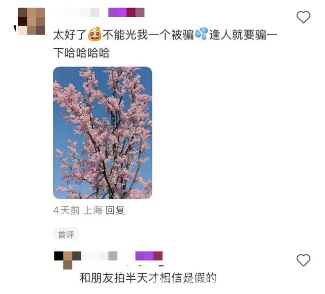 滴水湖“假樱花”引争议，美化环境还是欺骗游客？，春日上海滴水湖惊现“假樱花”，背后原因几何？
