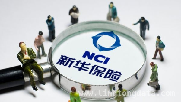 新华保险2024成绩斐然，2025发展蓝图绘就