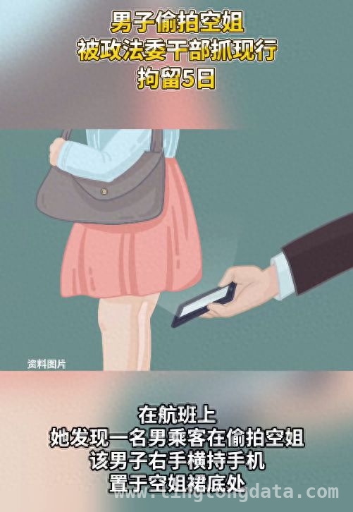 航班上的偷拍风波：政法干部助力正义伸张，正义女干部勇揭航班偷拍恶行，涉事男子终受罚