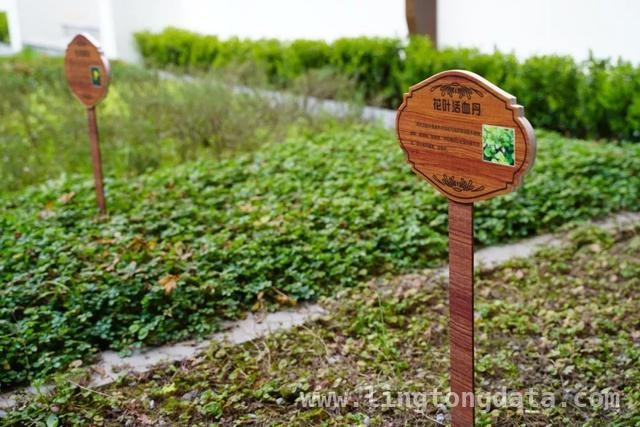 走进海派中医药博物馆，感受百年文化传承，药香四溢！海派中医药博物馆邀你体验传统魅力