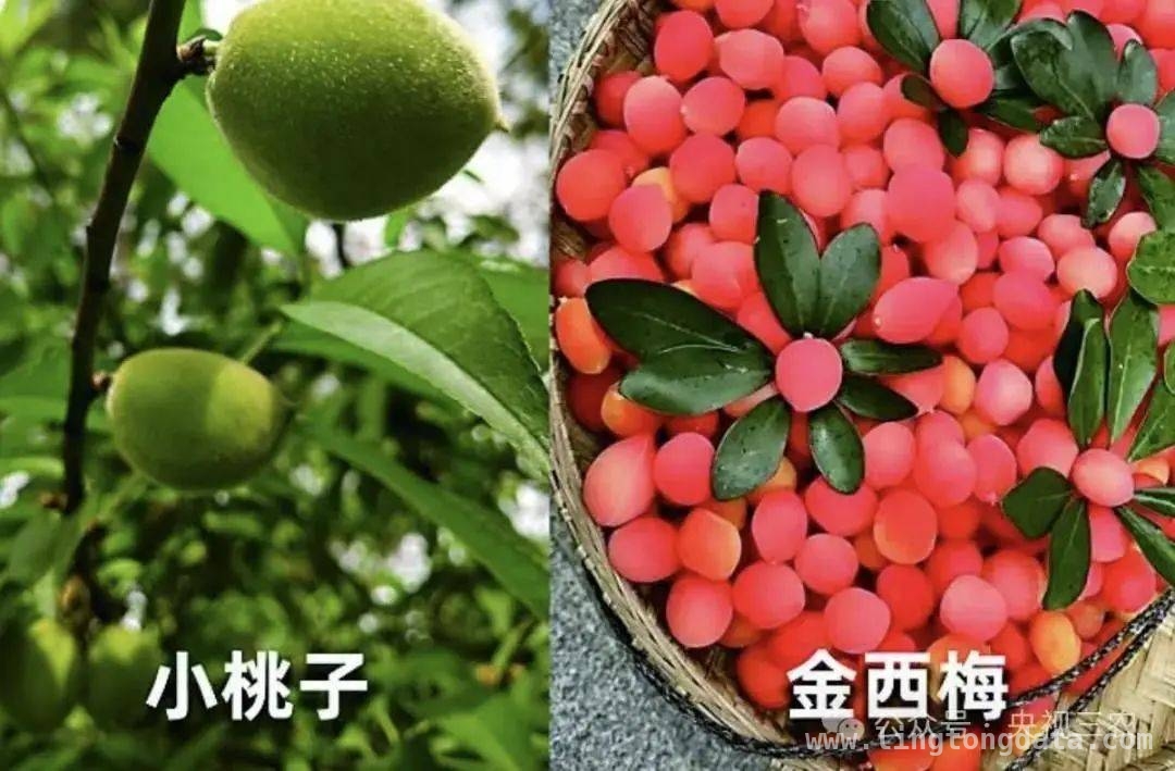 揭秘果蔬界“大忽悠”，别再交智商税！