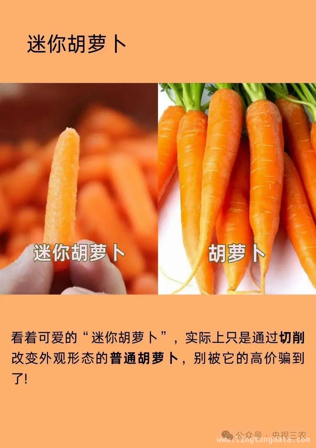 揭秘果蔬界“大忽悠”，别再交智商税！