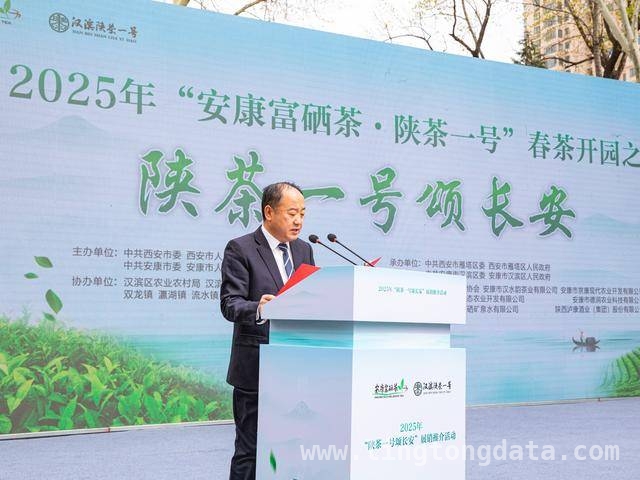 安康汉滨农产品展销：乡村产业振兴新契机，“陕茶一号颂长安”，安康汉滨富硒茶魅力绽放