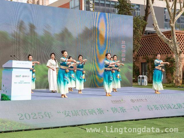 安康汉滨农产品展销：乡村产业振兴新契机，“陕茶一号颂长安”，安康汉滨富硒茶魅力绽放