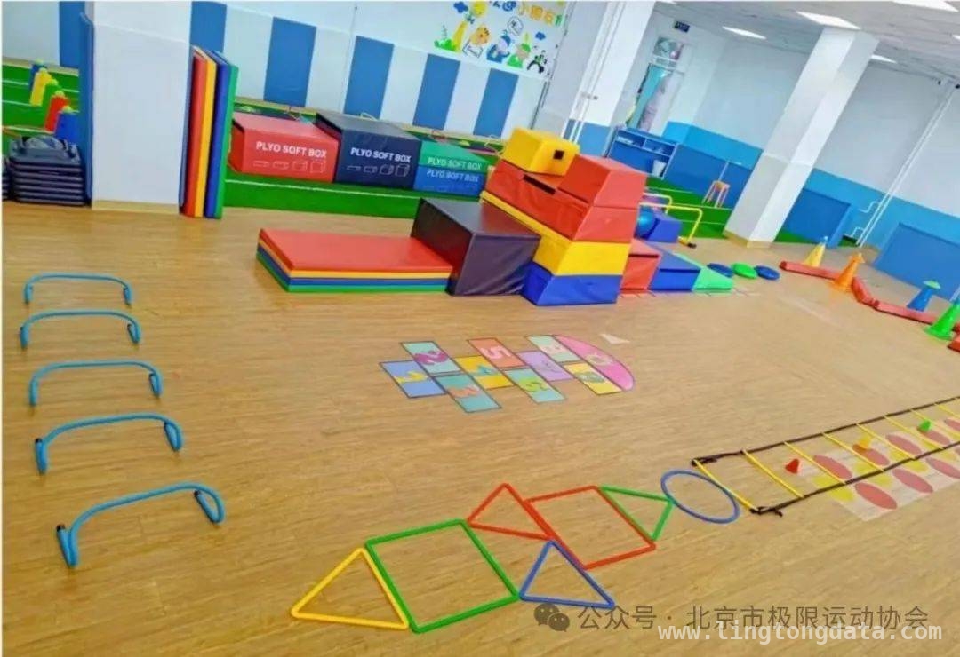 金豆豆少儿中心加入协会，为极限运动发展添砖加瓦，北京市极限运动协会迎新，金豆豆少儿中心带来多元运动体验