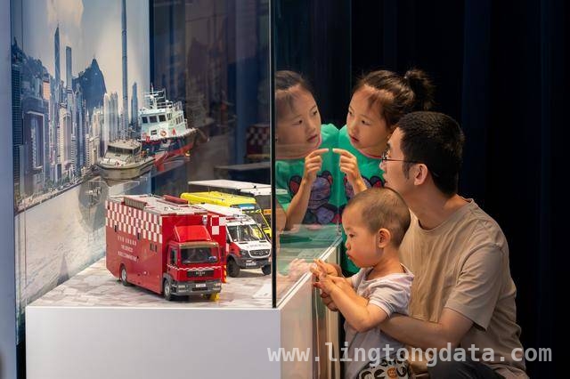 香港国安展魅力大，参观者络绎不绝