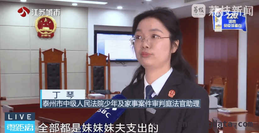 “借腹生子”抚养权纷争：姐妹亲情与法律的较量，从亲情到法庭：姐妹“借腹生子”抚养权纠纷案二审