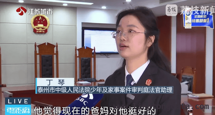 “借腹生子”抚养权纷争：姐妹亲情与法律的较量，从亲情到法庭：姐妹“借腹生子”抚养权纠纷案二审