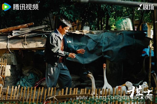 近期开播剧集大盘点，谁是黑马谁扑街？，新剧风云：看看谁能突出重围！