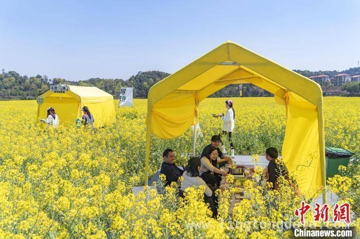 江西频出“组合拳”，如何点燃消费热情？，江西多举措激活消费“主引擎”，迈向消费强省