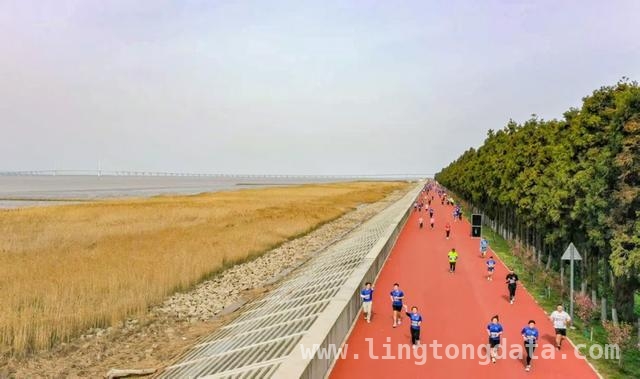 跑者齐聚长江畔，崇明半马开启生态体育新征程