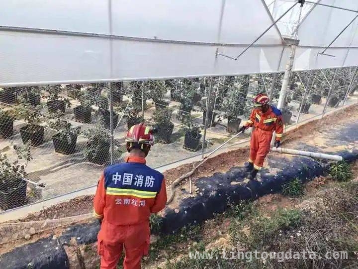 蓝莓地里的“不速之客”，消防员成功化解危机
