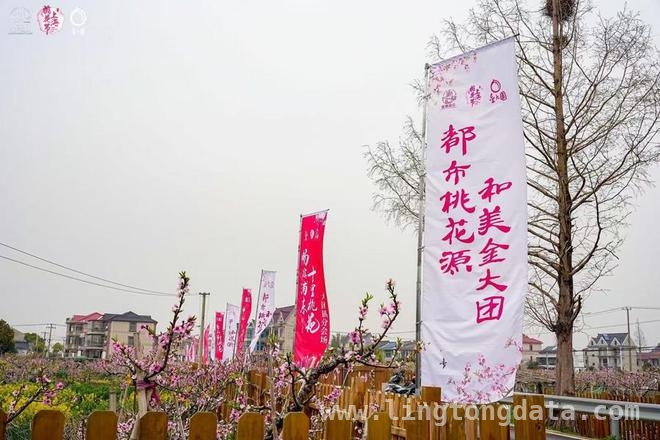 2025上海桃花节大团镇会场：产业升级与乡村振兴的新征程 上海桃花节大团镇会场：文旅与产业共舞，乡村振兴正当时