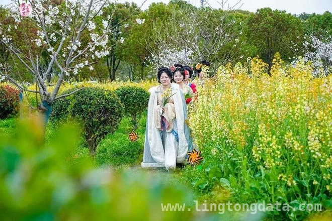 2025上海桃花节大团镇会场：产业升级与乡村振兴的新征程 上海桃花节大团镇会场：文旅与产业共舞，乡村振兴正当时