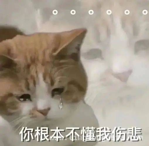 惊险！垃圾车翻坠，消防员成功救出被困司机 娃娃机与垃圾车的奇事：从“娃娃哭”到司机被困救援