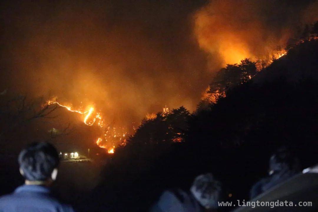 用火不慎酿大祸，韩国最大山火背后的真相