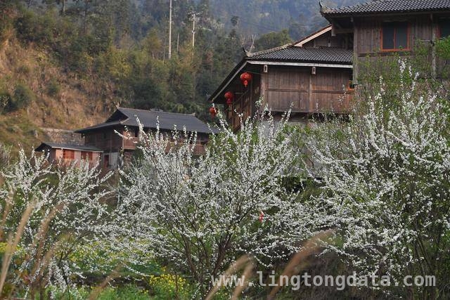 深山苗寨八年蜕变，结对帮扶助力振兴，八载帮扶路，乌英苗寨绘就乡村振兴新画卷