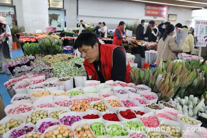 探寻昆明斗南花市：铁路助力云花飘香万里，“云岭天路”下的昆明斗南花卉市场：铁路运输激活鲜花经济