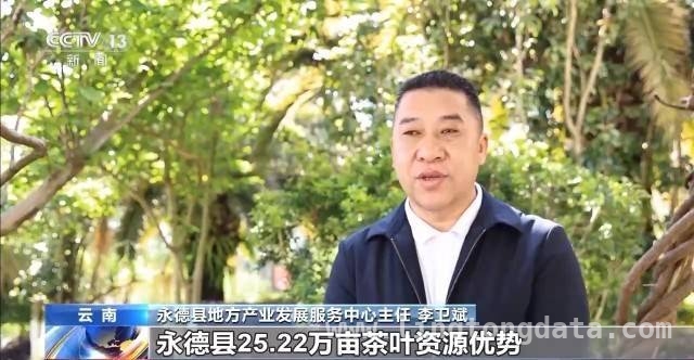 探秘云南咖啡产业：从采摘到学院的精彩之旅