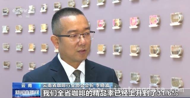 探秘云南咖啡产业：从采摘到学院的精彩之旅