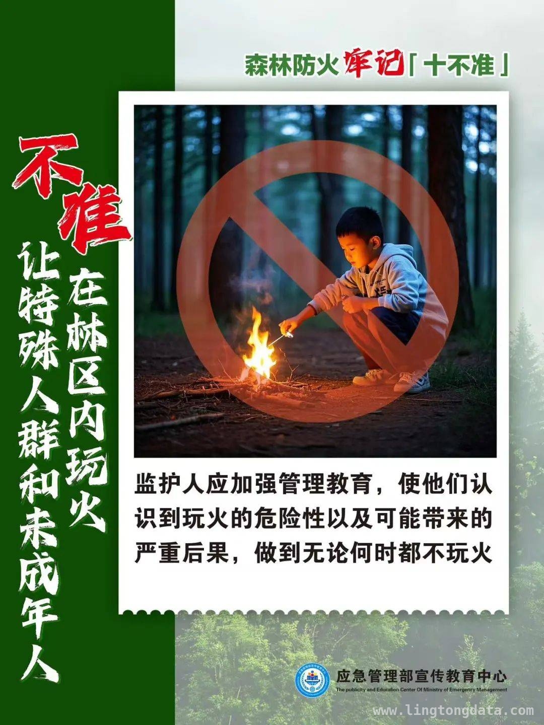 人为因素引发森林火灾，处罚与应对全知晓，人为致森林火灾频发，防火责任重如泰山