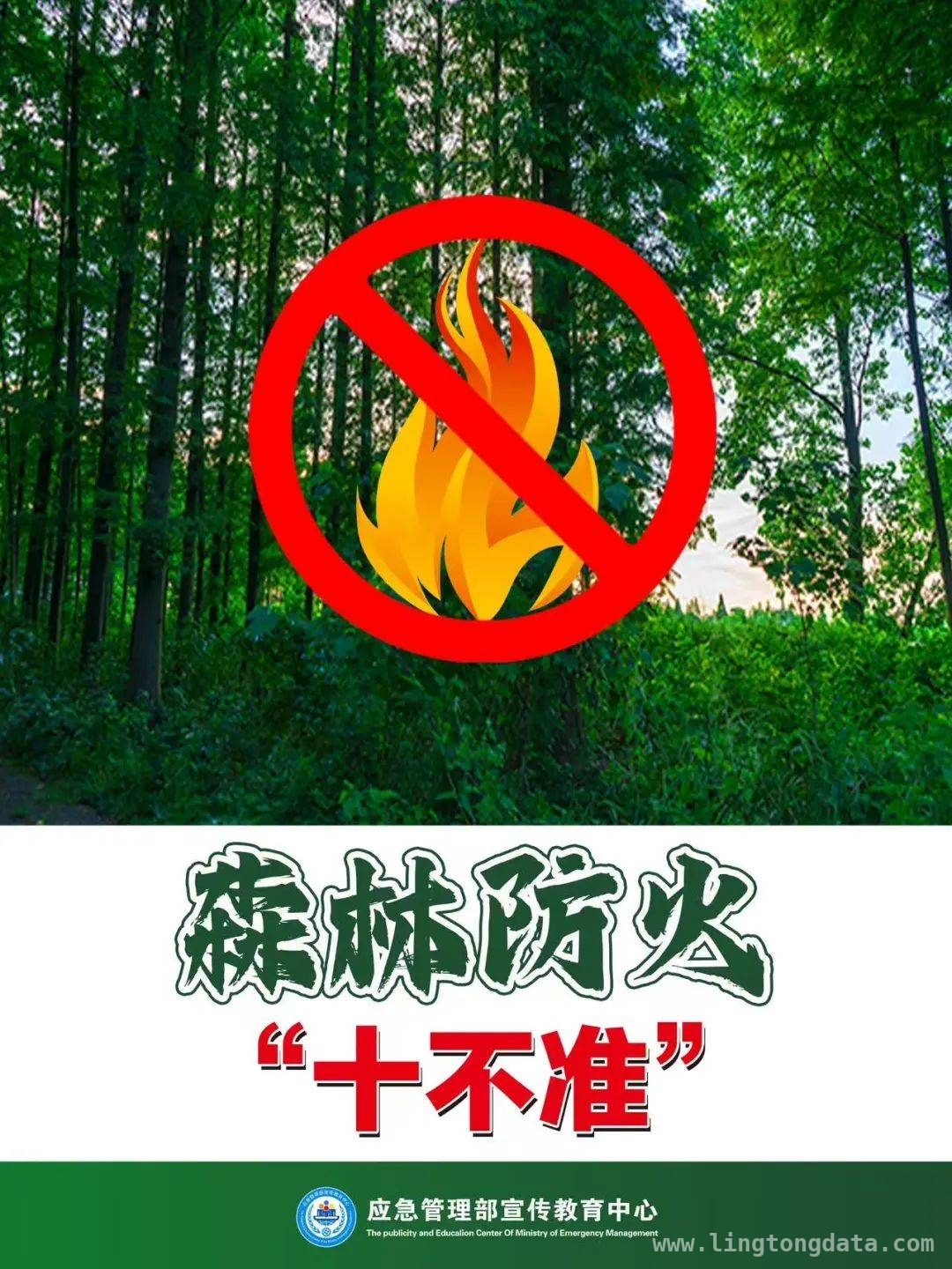 人为因素引发森林火灾，处罚与应对全知晓，人为致森林火灾频发，防火责任重如泰山