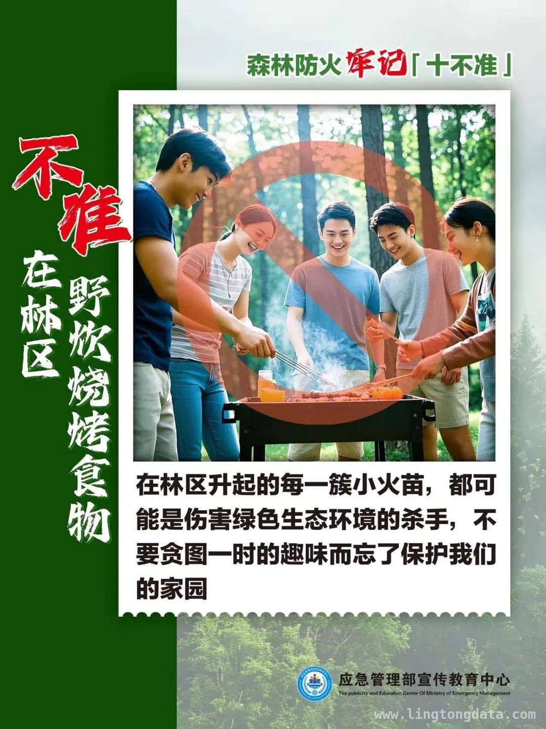 人为因素引发森林火灾，处罚与应对全知晓，人为致森林火灾频发，防火责任重如泰山