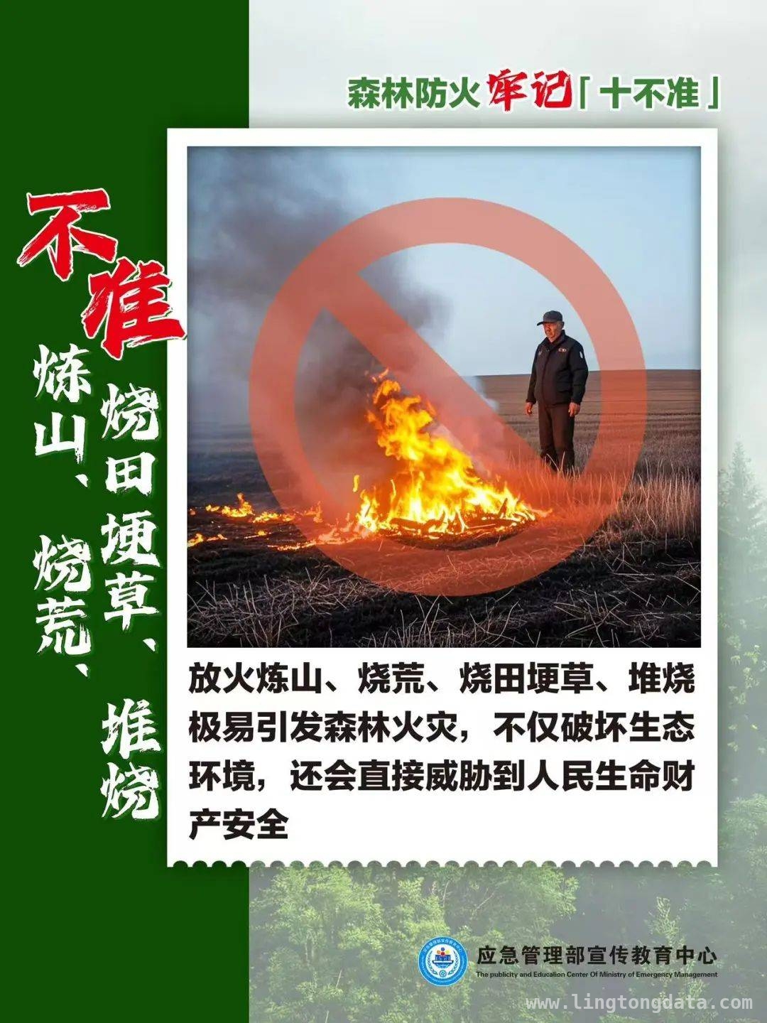 人为因素引发森林火灾，处罚与应对全知晓，人为致森林火灾频发，防火责任重如泰山