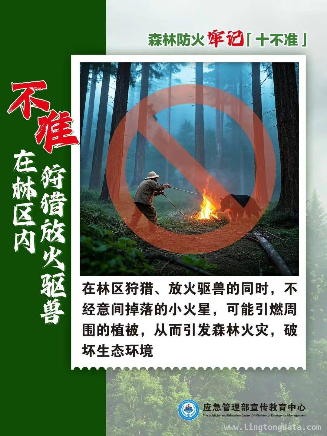 人为因素引发森林火灾，处罚与应对全知晓，人为致森林火灾频发，防火责任重如泰山