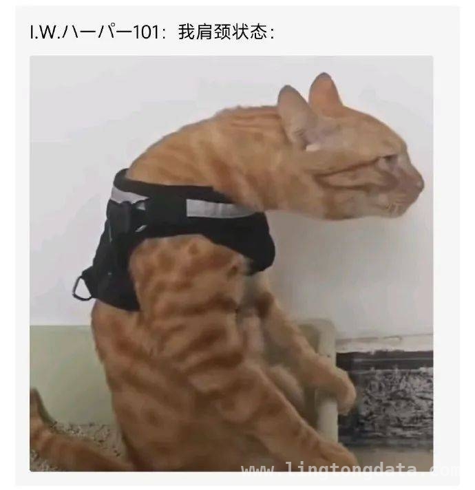 闪电带来的奇妙转变：女子因祸得福的奇遇