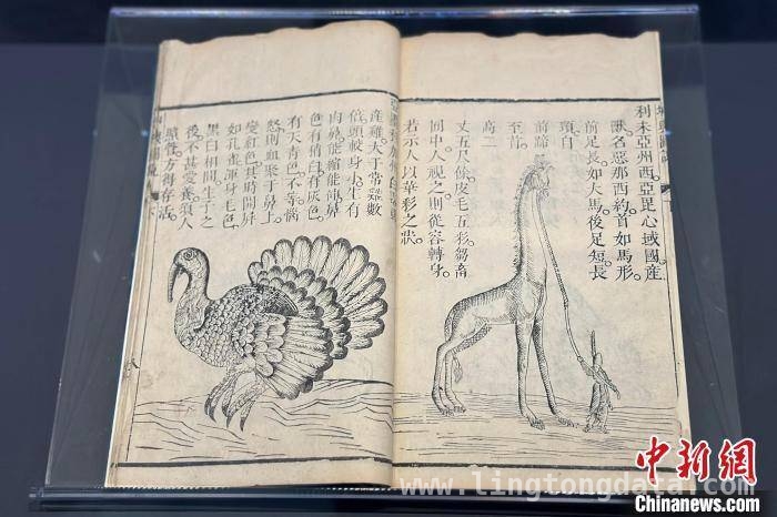 上海图书馆东馆办展，探秘郑和下西洋背景下奇兽传说