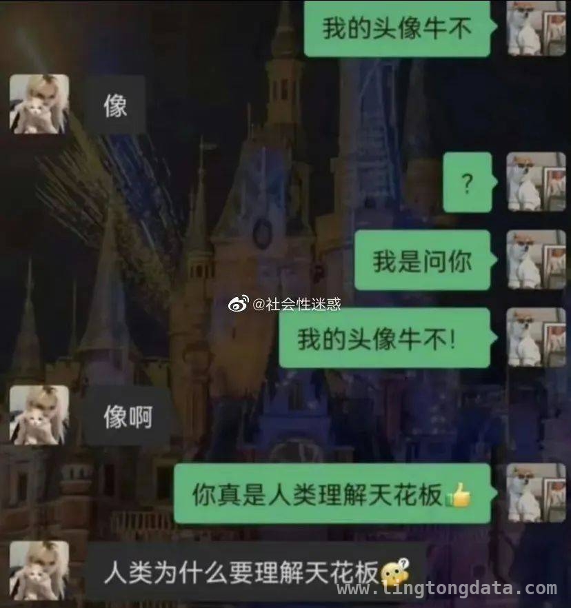 走进迷惑行为世界，开启欢乐之旅！，今日迷惑行为，段子哥带你一探究竟！