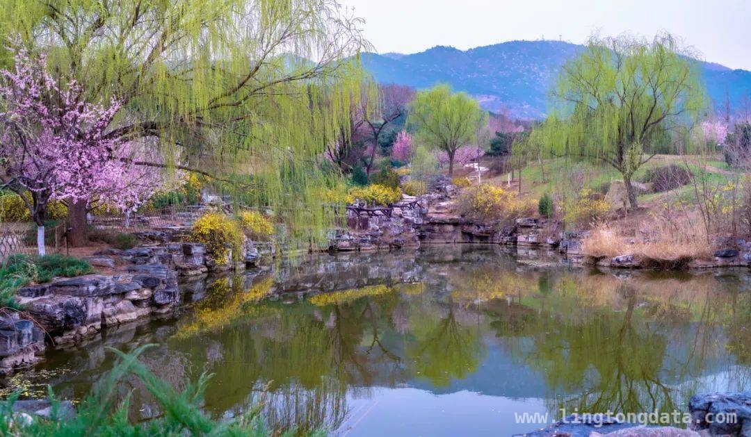 踏春西山，在花海与森林中释放身心