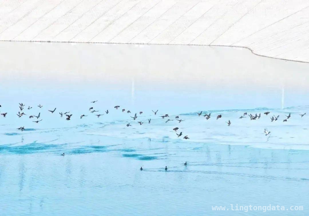 天鹅湖建成：阿克塞生态改善与经济发展的双赢之景