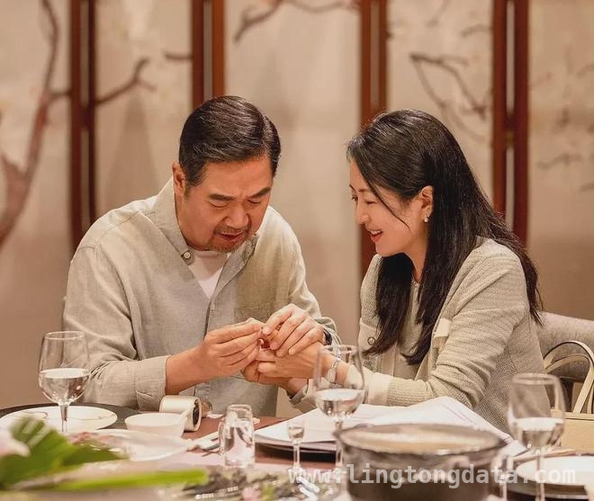 我的后半生聚焦黄昏恋，现实与情感碰撞引热议！，张国立梅婷佟大为新剧来袭，我的后半生收视口碑双丰收！