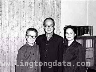昌平春色如画，朝阳邀你拍鸟，北京春日精彩不断，手机NFC功能安全吗？真相大揭秘