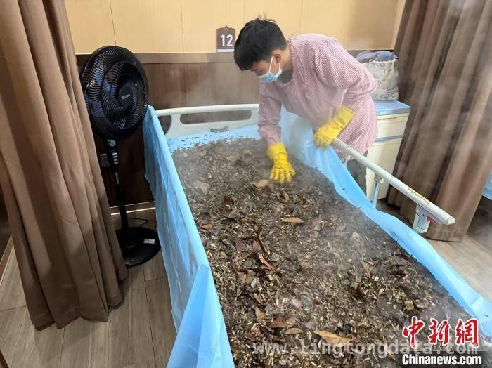 西双版纳傣医药：民族瑰宝助力康养旅居新风尚，西双版纳傣医药：从古老传承到国际交流的健康传奇
