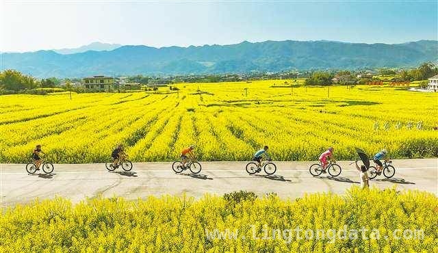 2025重庆春季文旅活动大揭秘，精彩不容错过！，漫步重庆春天，邂逅缤纷文旅盛景