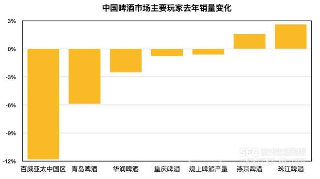 从销量到盈利：2024啤酒市场高端化进程的喜与忧 啤酒股业绩揭晓：五大巨头销量分化，高端之战谁主沉浮？