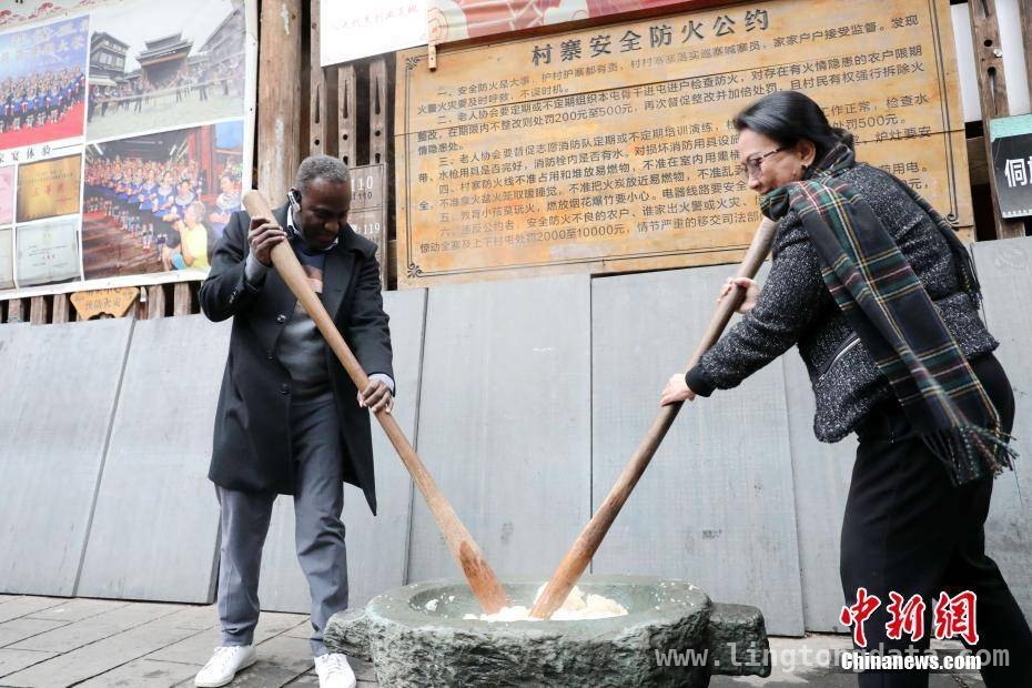 广西三江：多国使节品茶香、论茶道，领略侗乡魅力